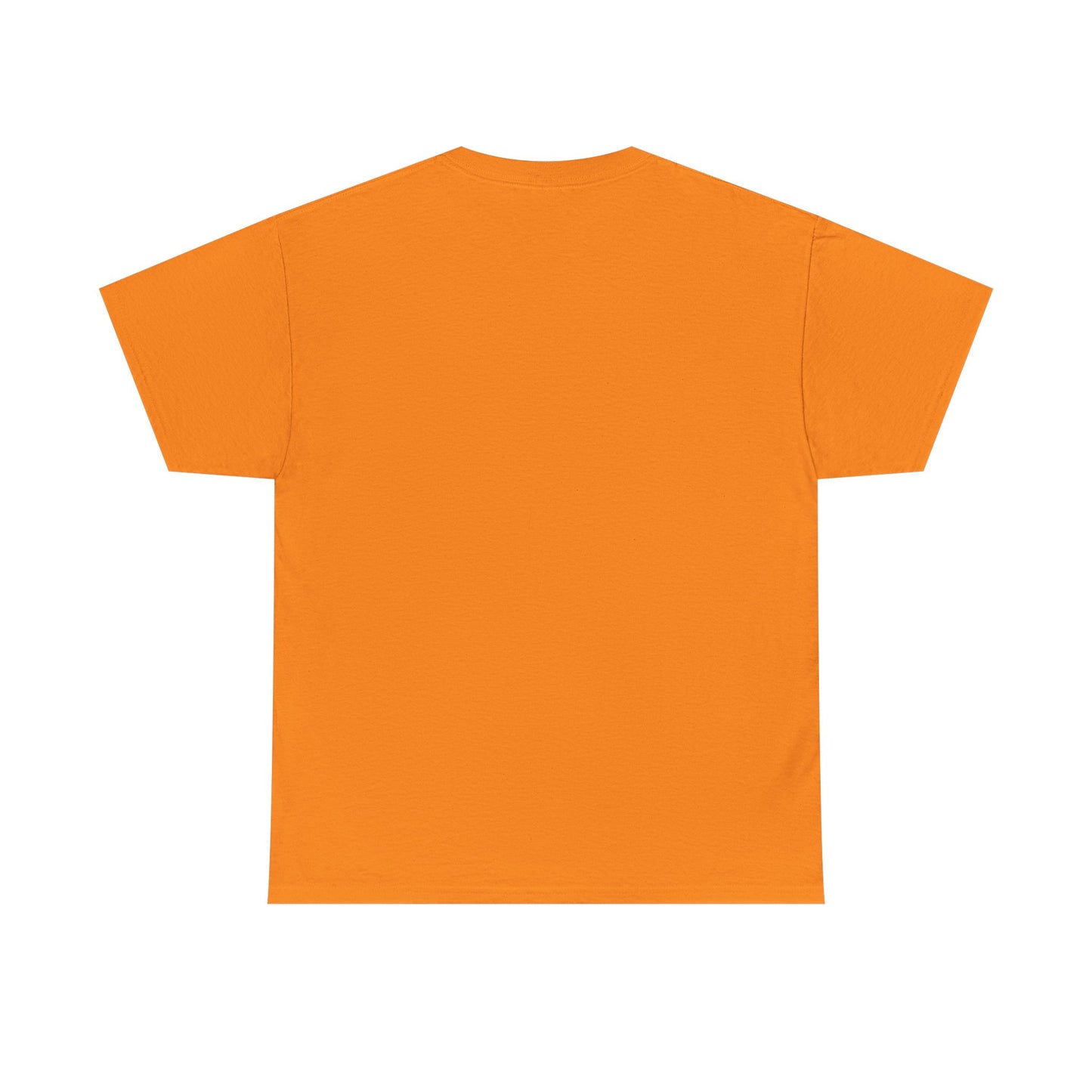 Halloween Costume Tee - Due to Inflation